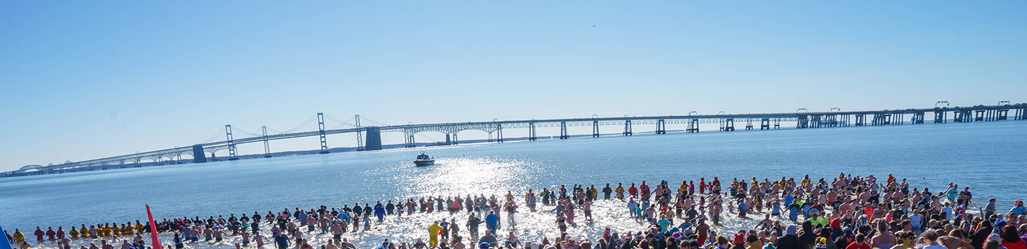 Polar Bear Plunge